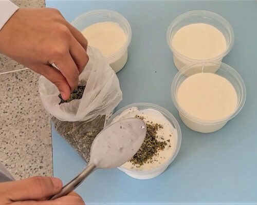 Alunas e professores da Epamig produzem “iogurte mexicano” temperado com ervas finas